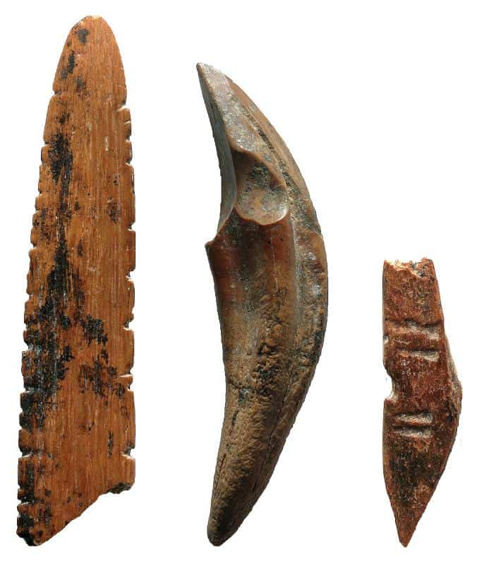 Tools made from bone and teeth were used to hunt small monkeys and squirrels, work skins or plants, and perhaps create nets at Fa-Hien Lena, Sri Lanka. Here a possible net shuttle, monkey tooth awlknife, and projectile point are shown.